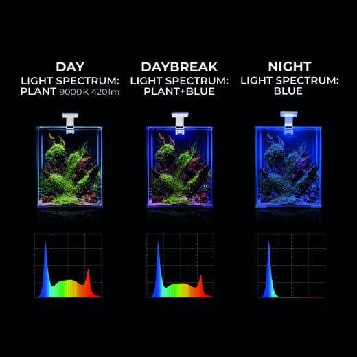 LEDDY SMART 4,8W PLANT & NIGHT BLACK
