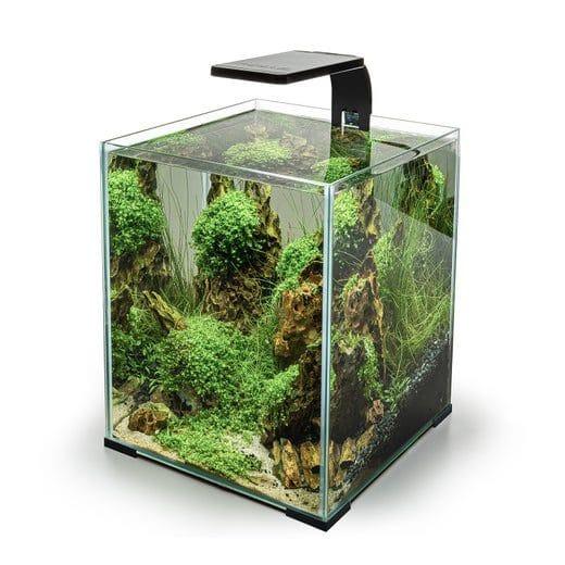 LEDDY SMART 4,8W PLANT & NIGHT BLACK