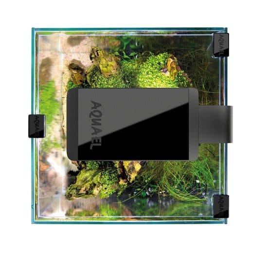LEDDY SMART 4,8W PLANT & NIGHT BLACK