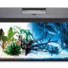 Black-Leddy-DayNight24.jpg AQUARIUM LEDDY PLUS 60 D&N Black 2.0