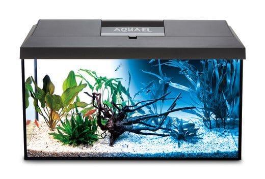 Black-Leddy-DayNight24.jpg AQUARIUM LEDDY PLUS 60 D&N Black 2.0