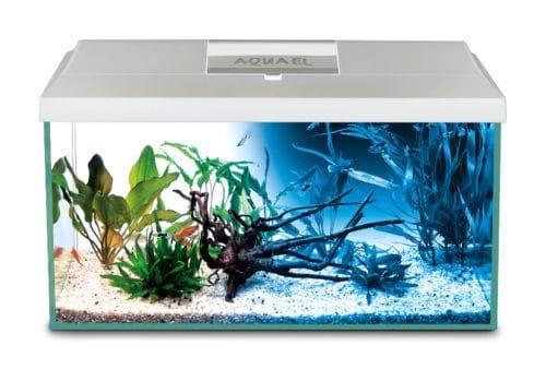 white-leddy-daynight_190-500x33866-1.jpg AQUARIUM LEDDY PLUS 60 D&N white 2.0