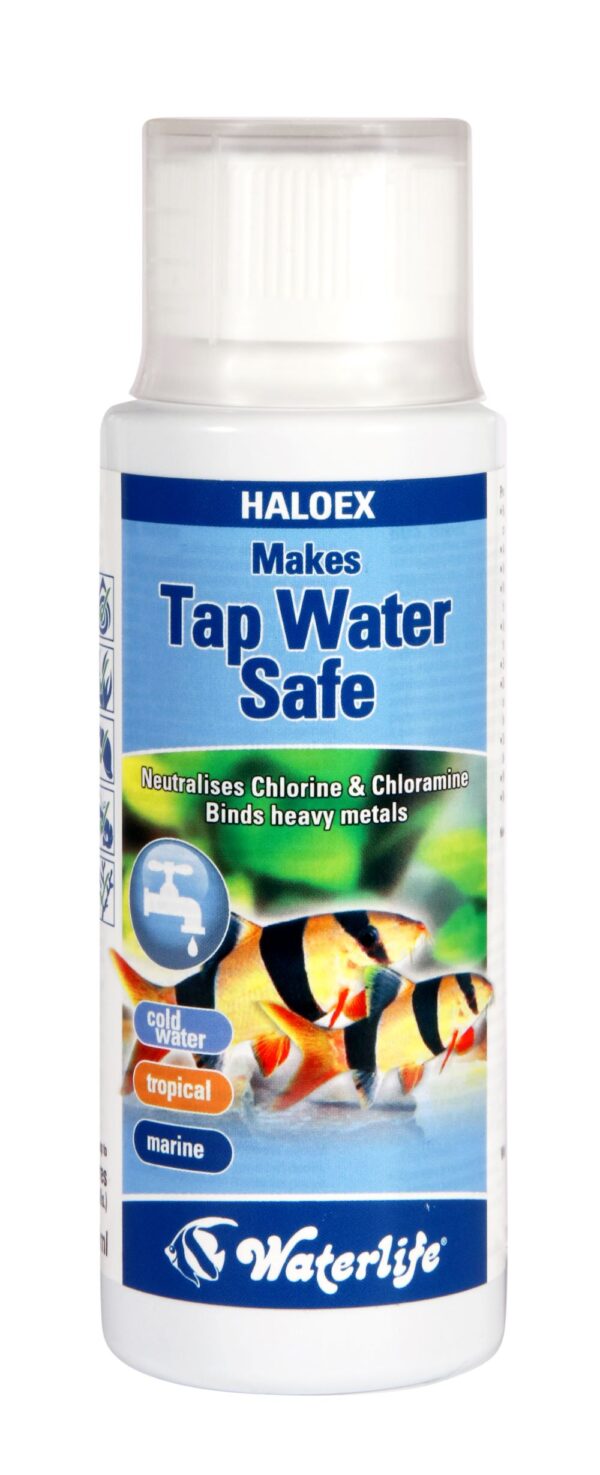 nn-448-haloex-100ml HALOEX 100ml vedenvaihtoihin 100 ml (1000 litraa) (turvallinen myös sukaravuille)